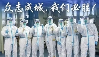 满江红     抗疫写怀